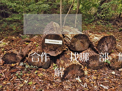 合作糾紛找哪個部門解決(合同糾紛找什么部門調解)