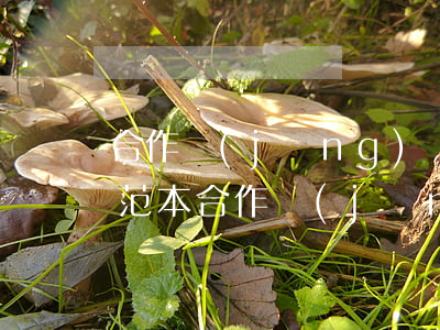 合作經(jīng)營協(xié)議合同范本(合作經(jīng)營協(xié)議合同范本下載)