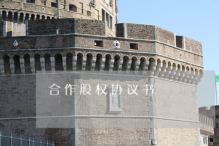 合作股权协议书