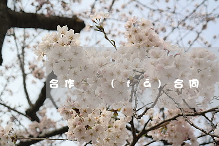 合作開發(fā)合同