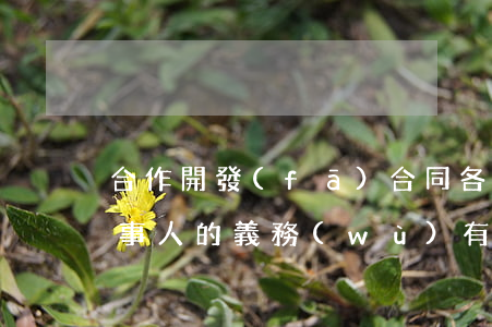 合作開發(fā)合同各方當(dāng)事人的義務(wù)有哪些