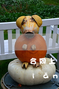 合同上寫(xiě)工作兩年后交保險(xiǎn)合法嗎