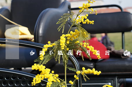 合同不能履行可否因為疫情免責