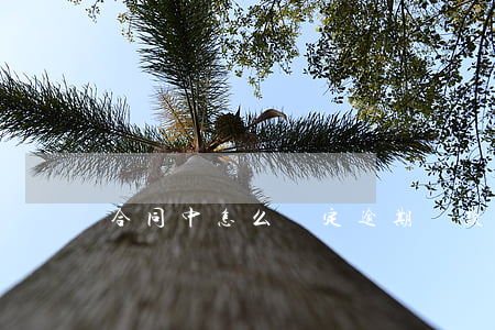 合同中怎么約定逾期還款的利息-