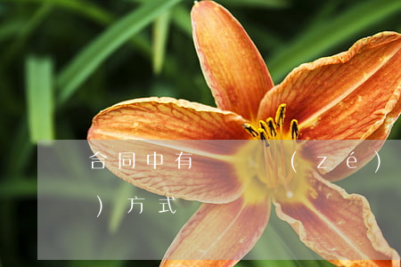 合同中有違約責(zé)任的承擔(dān)方式