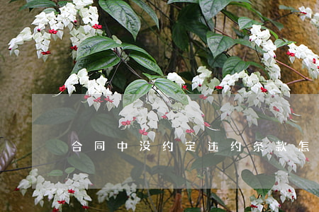 合同中没约定违约条款怎么办