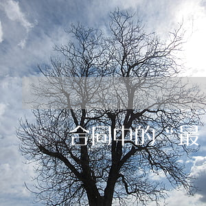 合同中的“最終解釋權(quán)”條款