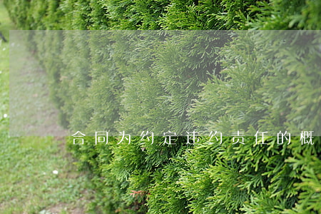 合同为约定违约责任的概念是什么