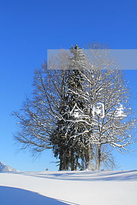 合同主體不適格導(dǎo)致合同無效