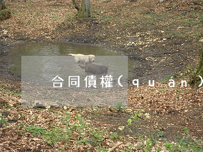 合同債權(quán)抵銷的要件是什么