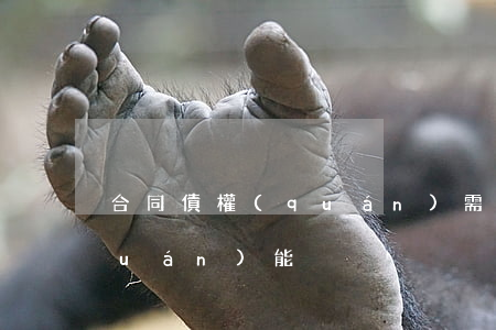 合同債權(quán)需要具有哪些權(quán)能