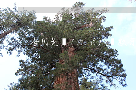 合同免責(zé)條款有何特點