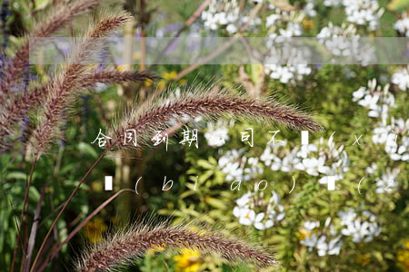 合同到期公司不續(xù)簽補(bǔ)償標(biāo)準(zhǔn)(合同到期公司不續(xù)簽補(bǔ)償標(biāo)準(zhǔn)2020)