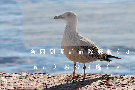 合同到期后解除勞動(dòng)關(guān)系，公司應(yīng)不應(yīng)該支付經(jīng)濟(jì)補(bǔ)