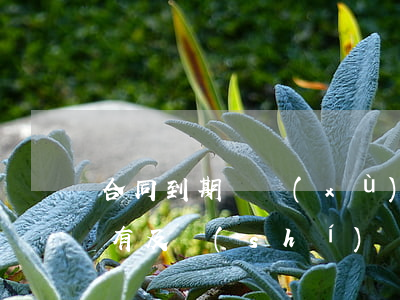 合同到期沒續(xù)簽被辭退(合同到期沒有及時(shí)續(xù)簽,公司是否有權(quán)辭退)