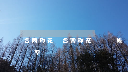 合同印花稅(合同印花稅計稅依據(jù)及稅率)