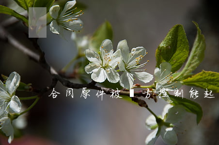 合同原件被對方控制能起訴嗎?