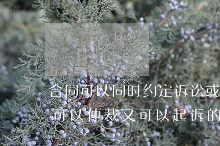 合同可以同时约定诉讼或仲裁吗(合同约定既可以仲裁又可以起诉的)