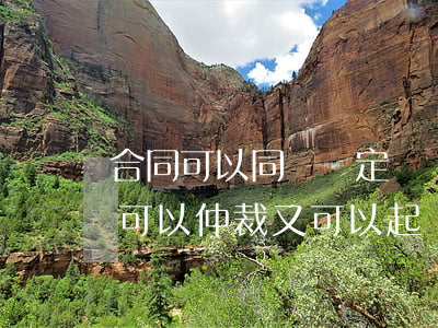 合同可以同時約定訴訟或仲裁嗎(合同約定既可以仲裁又可以起訴的)