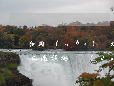 合同問(wèn)題起訴對(duì)方什么流程(起訴對(duì)方的流程)