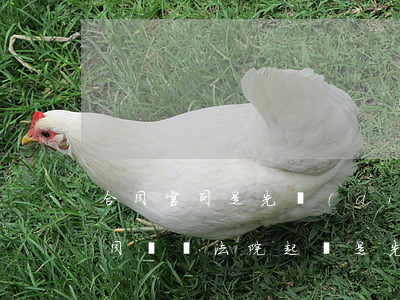 合同官司是先調(diào)解還是立案(合同糾紛法院起訴是先調(diào)解還是開(kāi)庭)