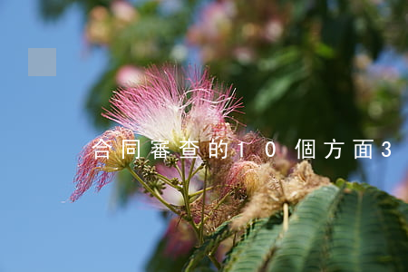 合同審查的10個方面37個要點，值得收藏！