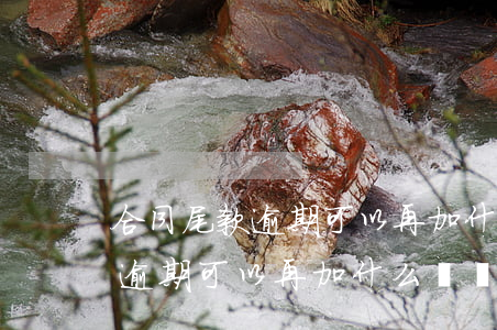 合同尾款逾期可以再加什么賠償-合同尾款逾期可以再加什么賠償呢