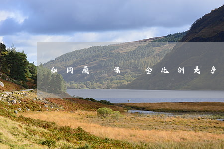 合同履約保證金比例是多少