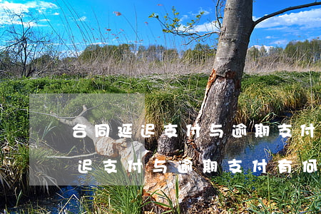 合同延迟支付与逾期支付有何区别-合同延迟支付与逾期支付有何区别呢