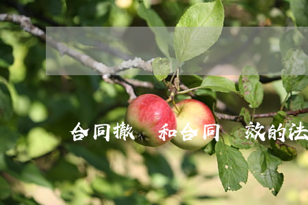 合同撤銷和合同無效的法律后果分別是什么