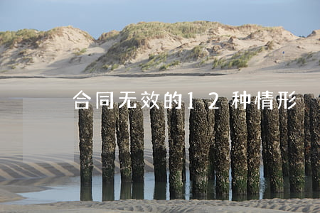 合同无效的12种情形