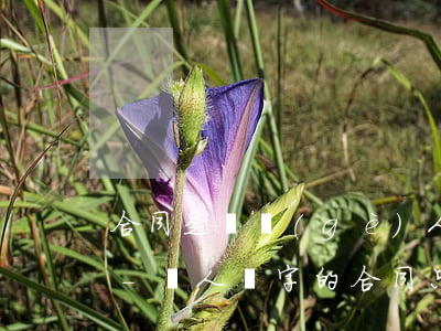 合同是兩個(gè)人簽名的欠錢怎么起訴-兩人簽字的合同只起訴一人可以嗎