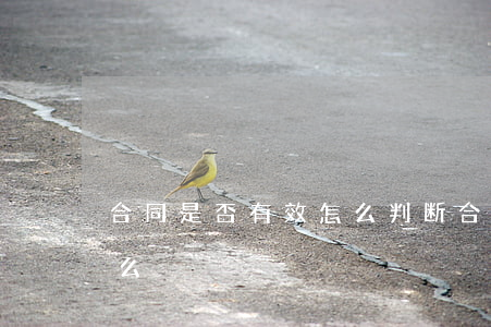 合同是否有效怎么判断(合同有没有效是看什么?)