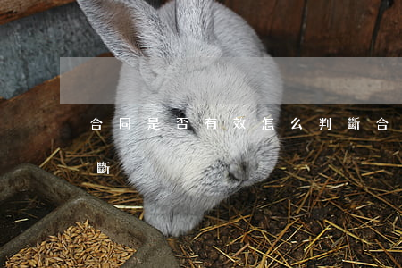 合同是否有效怎么判斷(合同是否有效怎么判斷)