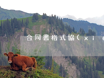 合同書格式(協(xié)議書格式)