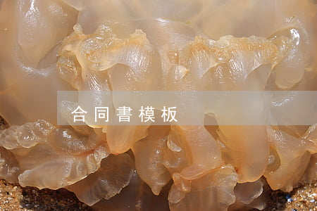 合同書模板 合同書模板