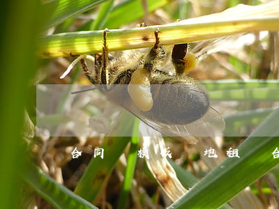 合同書模板(場地租賃合同書模板)