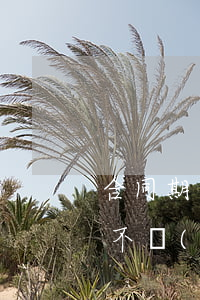 合同期滿公司不續(xù)簽有賠償嗎（如果不續(xù)簽，如何進(jìn)行經(jīng)濟(jì)補(bǔ)償，補(bǔ)多少）