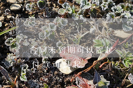 合同未到期可以提起訴訟嗎(合同到期多久未付款可以起訴)