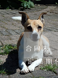 合同未約定逾期付款利息怎么辦-合同未約定逾期付款利息怎么辦理