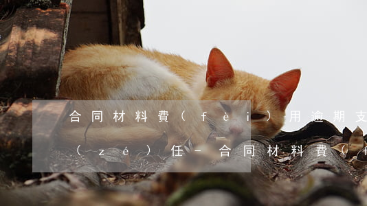 合同材料費(fèi)用逾期支付的違約責(zé)任-合同材料費(fèi)用逾期支付的違約責(zé)任有哪些