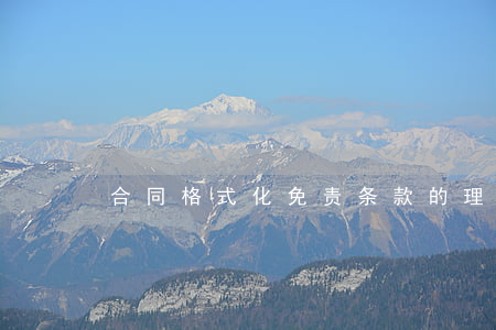 合同格式化免责条款的理解