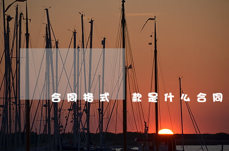 合同格式條款是什么，合同格式條款具有什么風險?