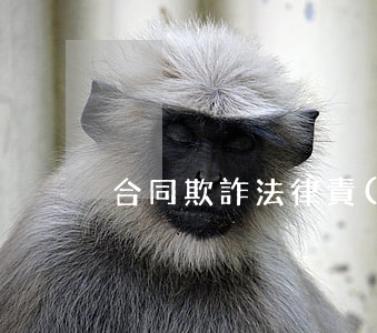 合同欺詐法律責(zé)任