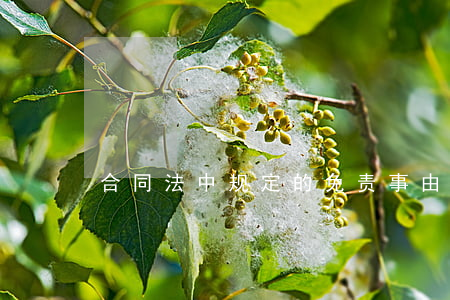 合同法中规定的免责事由有哪些