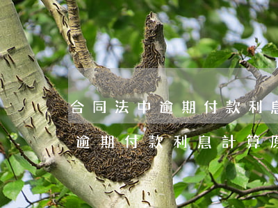 合同法中逾期付款利息計算原則-合同法中逾期付款利息計算原則的規(guī)定