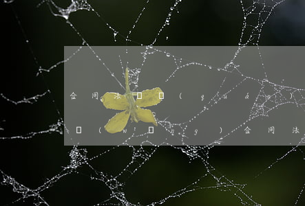 合同法債權(quán)債務(wù)律師網(wǎng)（合同法債權(quán)債務(wù)律師網(wǎng)）