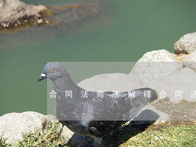 合同法司法解釋(合同法司法解釋一二三四)