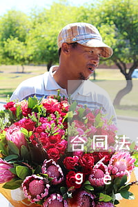 合同法規(guī)定逾期最多扣多少個(gè)點(diǎn)-合同法規(guī)定逾期多久算違約
