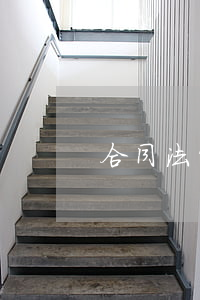 合同法解讀(合同法解釋一)